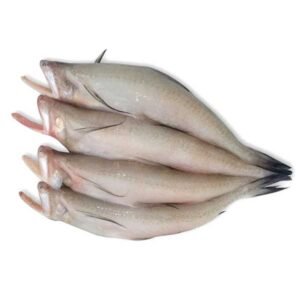 Cá khoai cắt đầu làm sạch