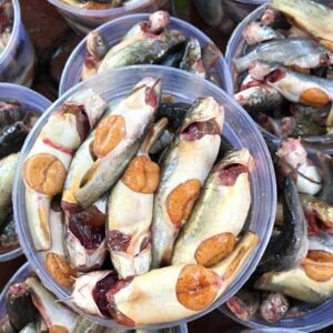 Cá chốt trứng - Ảnh 2