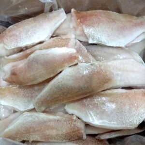 Cá mú phi lê - Ảnh 2