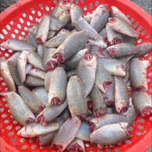 Cá rô đồng làm sạch - Ảnh 2