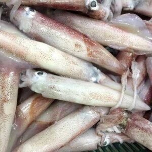Mực trứng - Ảnh 2
