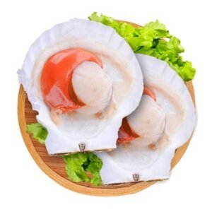 Sò điệp nửa mảnh (bỏ trứng)
