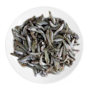 Cá bống trứng