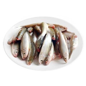 Cá linh