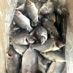 Cá rô phi làm sạch - Ảnh 2